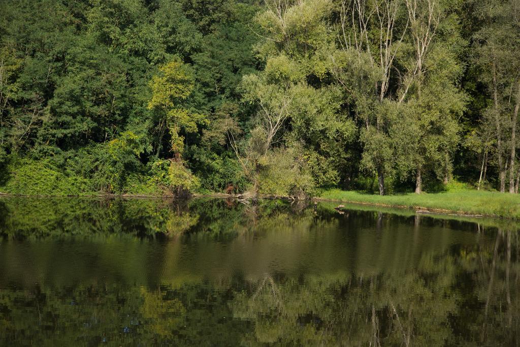 Hotel Del Lago Cavriglia Eksteriør bilde